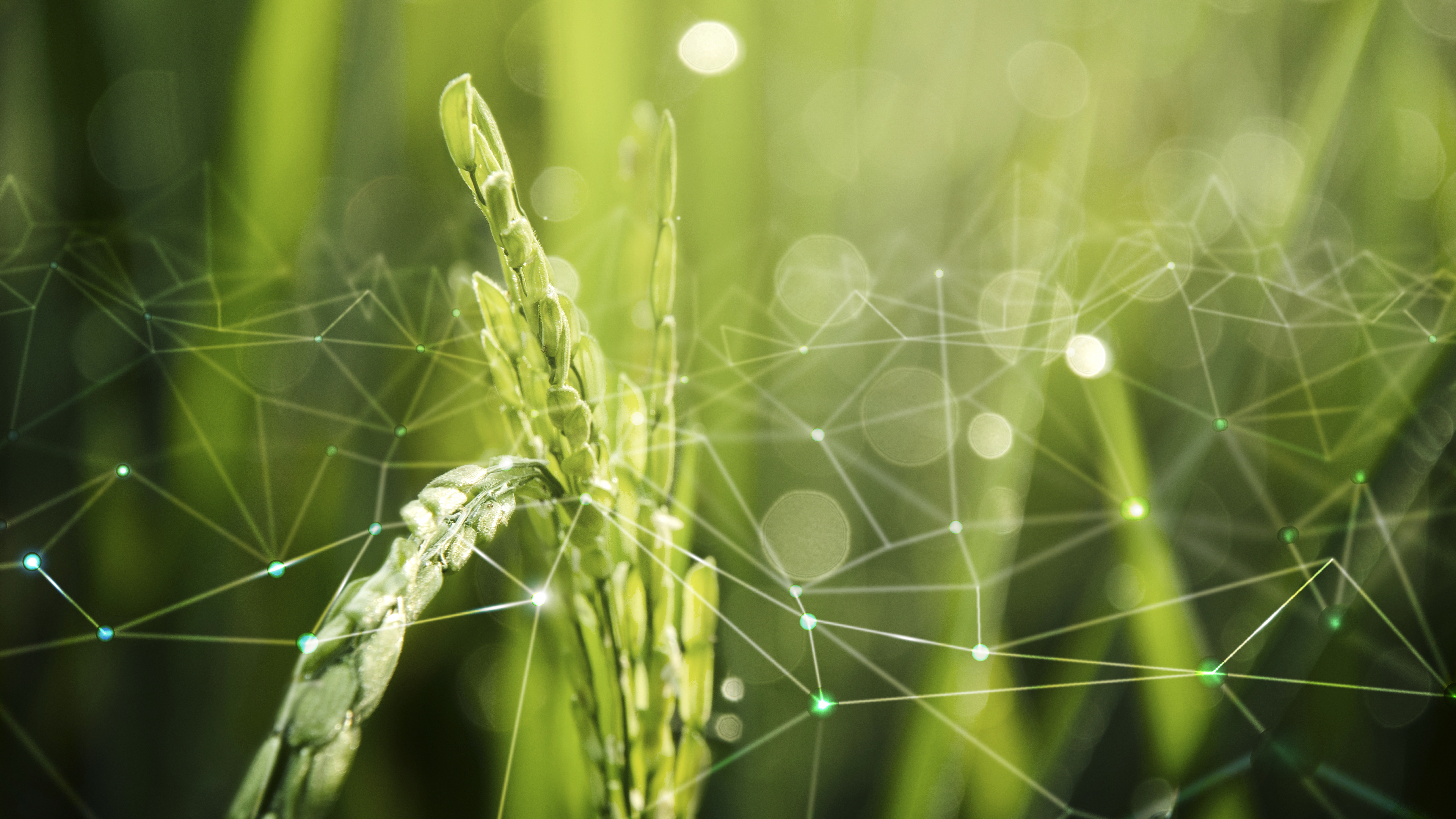 New Agtech Startup unites to validate CRISPR Genome Editing in Food and Agriculture sector